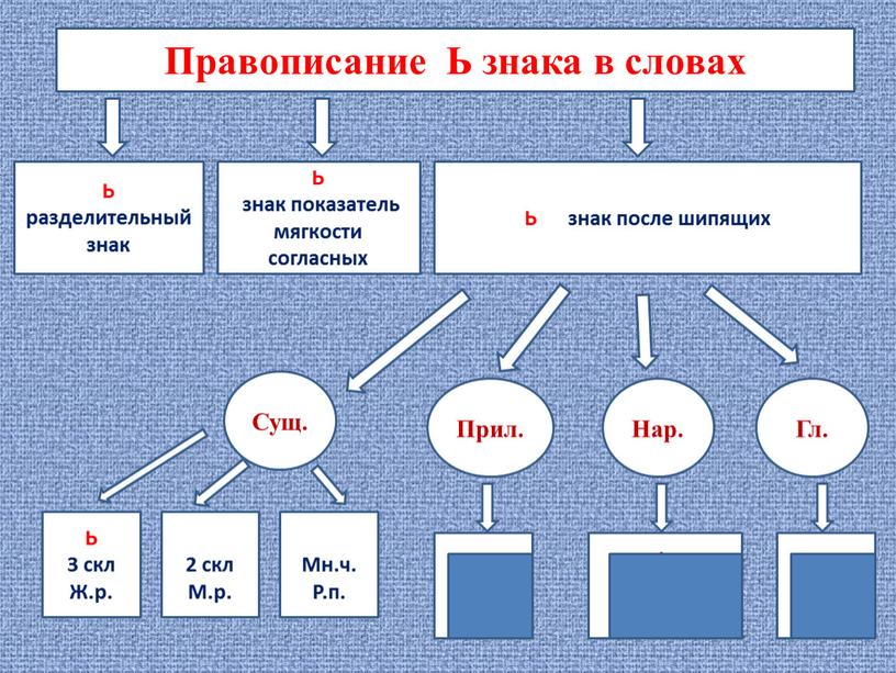 Правописание Ь знака в словах