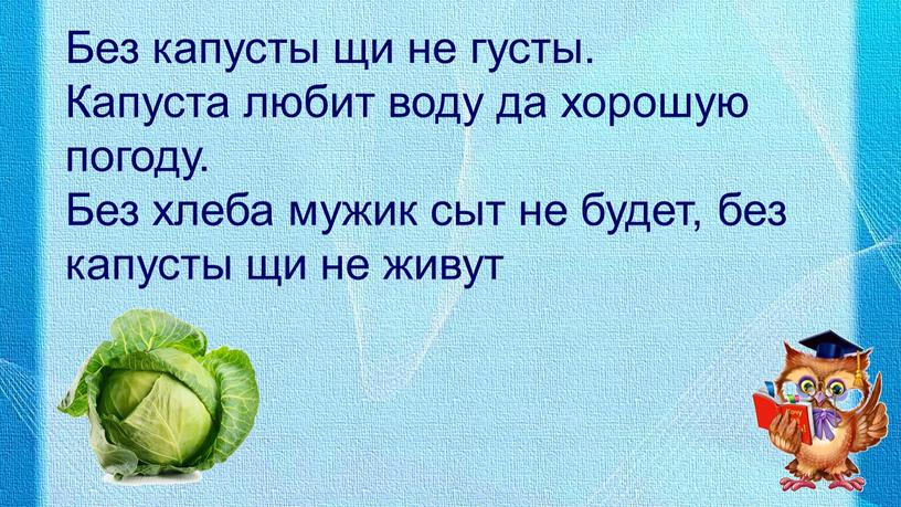 Без капусты щи не густы. Капуста любит воду да хорошую погоду