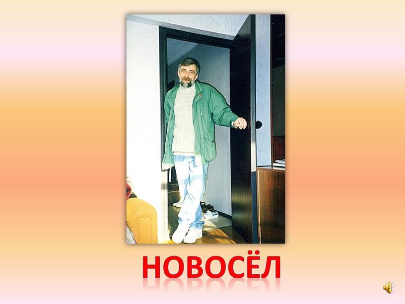 новосёл