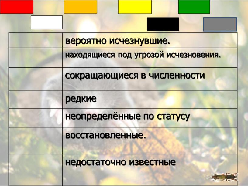 вероятно исчезнувшие. находящиеся под угрозой исчезновения. сокращающиеся в численности редкие неопределённые по статусу восстановленные. недостаточно известные