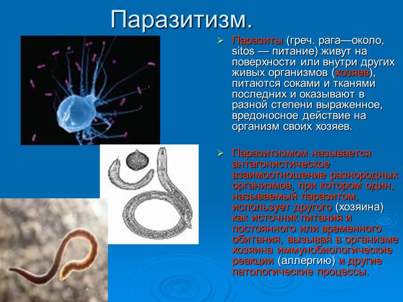 Паразитизм. Паразиты (греч. рага—около, sitos — питание) живут на поверхности или внутри других живых организмов (хозяев), питаются соками и тканями последних и оказывают в разной…