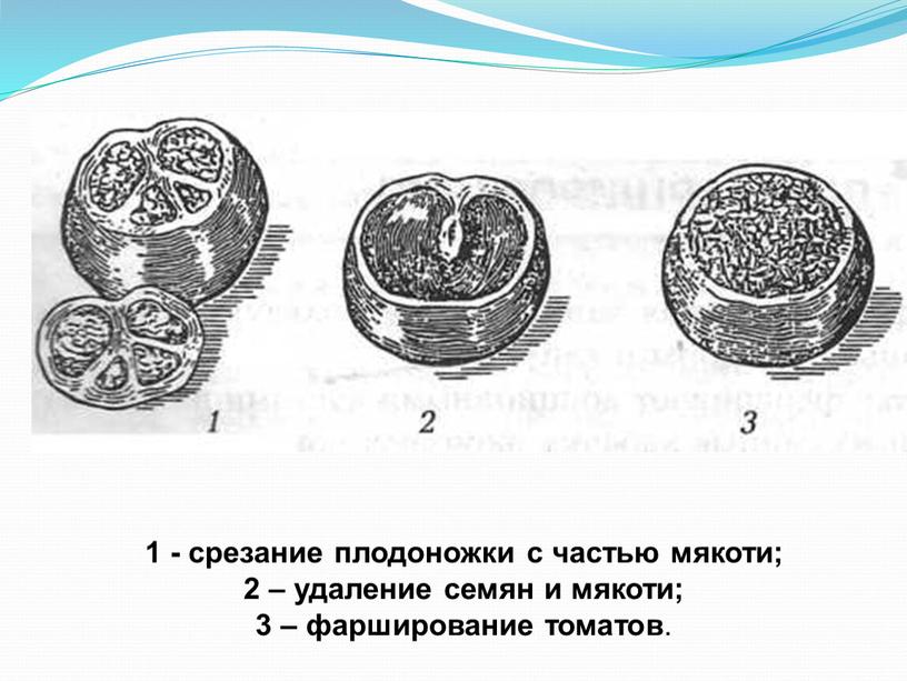 1 - срезание плодоножки с частью мякоти; 2 – удаление семян и мякоти; 3 – фарширование томатов .