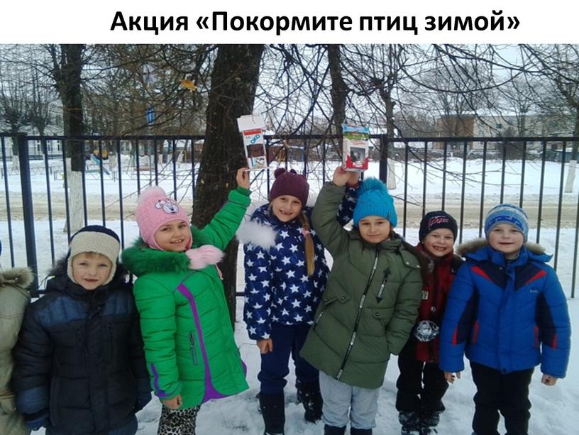 Акция «Покормите птиц зимой»