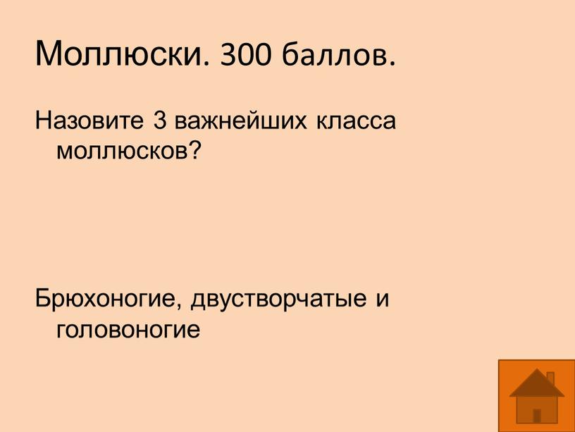 Моллюски. 300 баллов. Назовите 3 важнейших класса моллюсков?