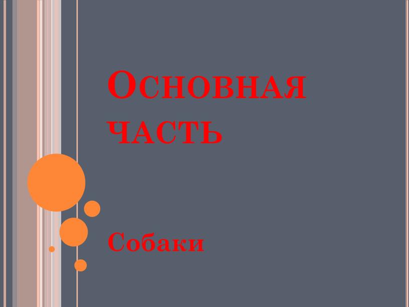 Основная часть Собаки