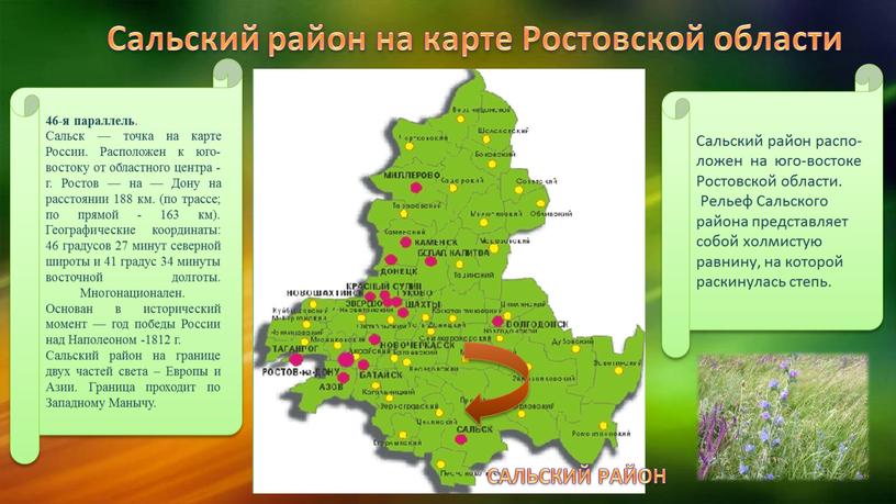 Сальский район на карте Ростовской области