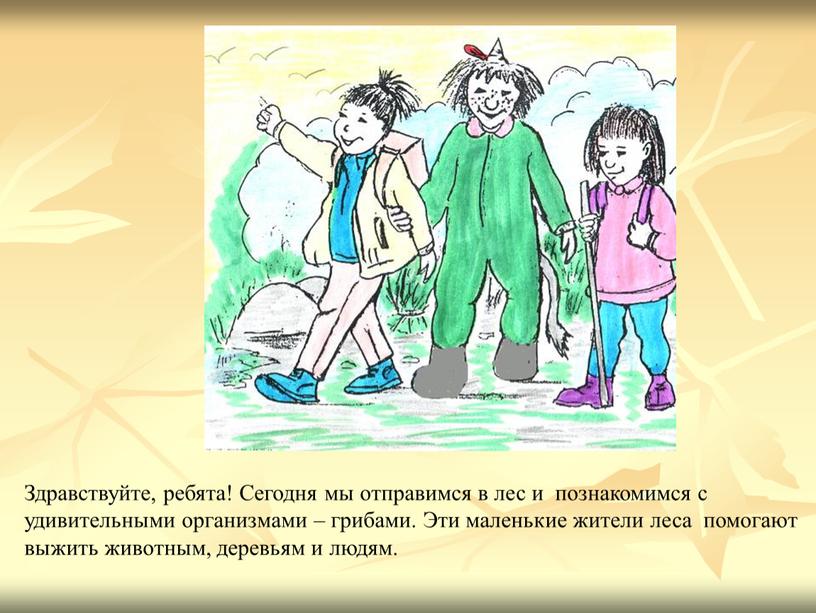 Здравствуйте, ребята! Сегодня мы отправимся в лес и познакомимся с удивительными организмами – грибами