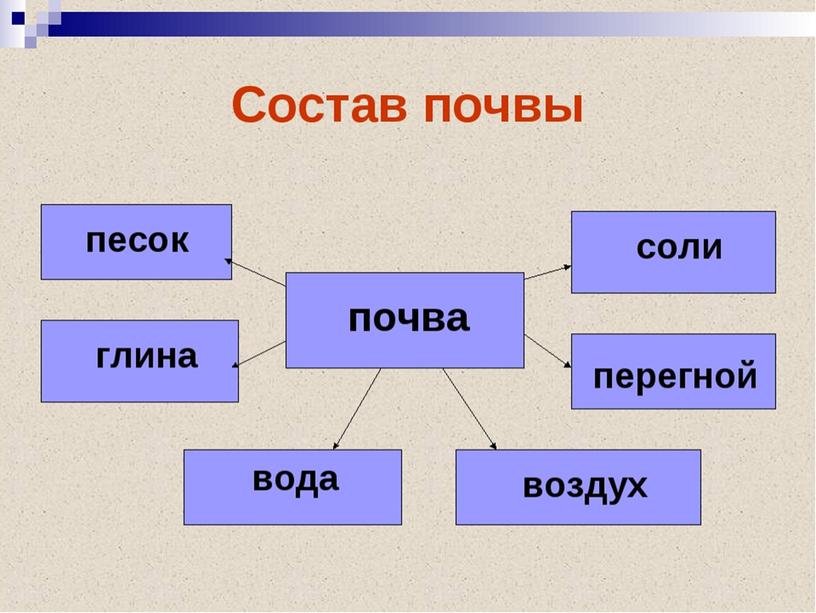 Почвы  как  особое природное образование