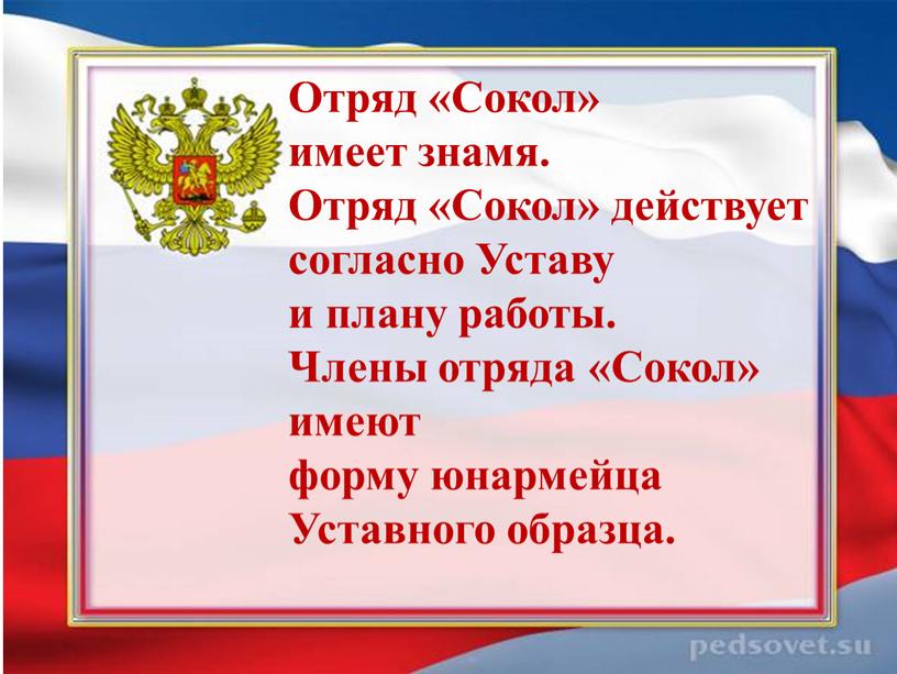 Отряд «Сокол» имеет знамя. Отряд «Сокол» действует согласно