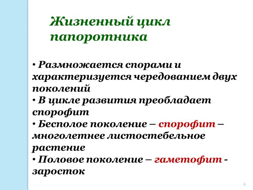 Жизненный цикл папоротника Размножается спорами и характеризуется чередованием двух поколений