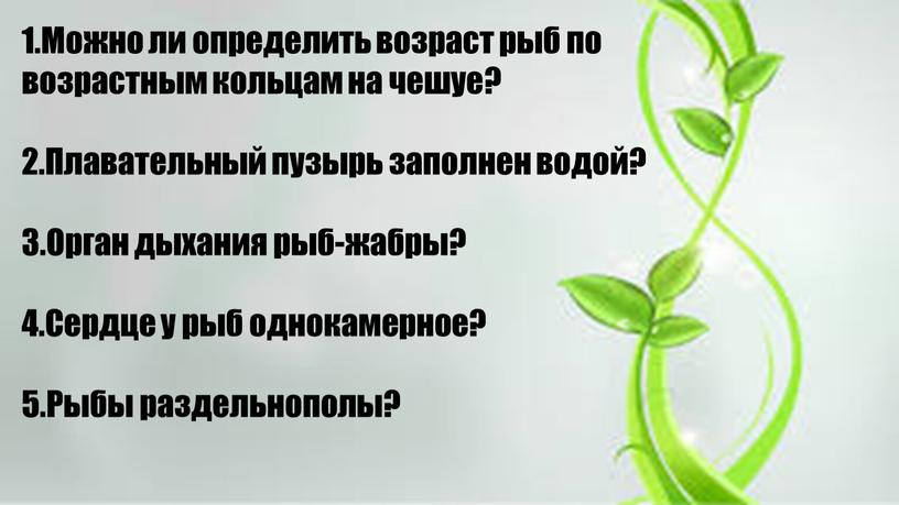 Можно ли определить возраст рыб по возрастным кольцам на чешуе? 2