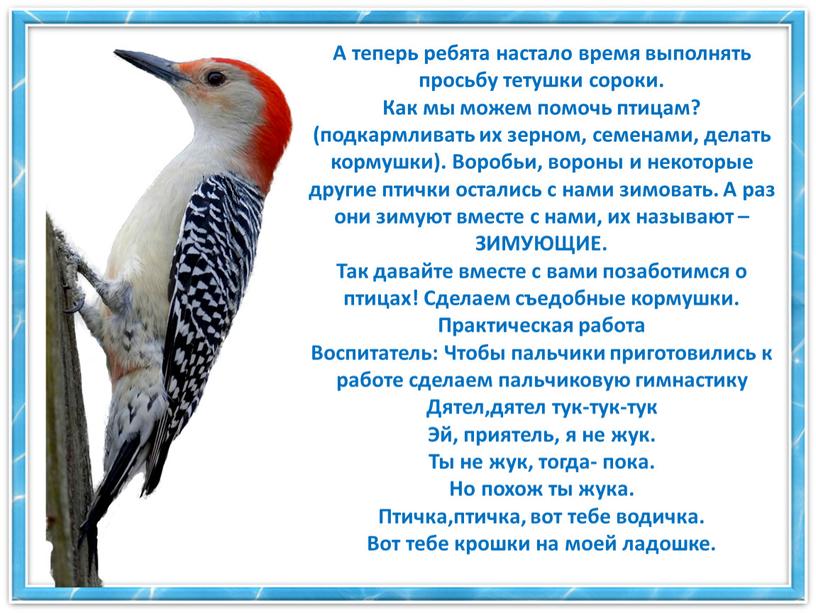 А теперь ребята настало время выполнять просьбу тетушки сороки