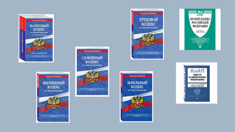 Современная правовая система России - презентация