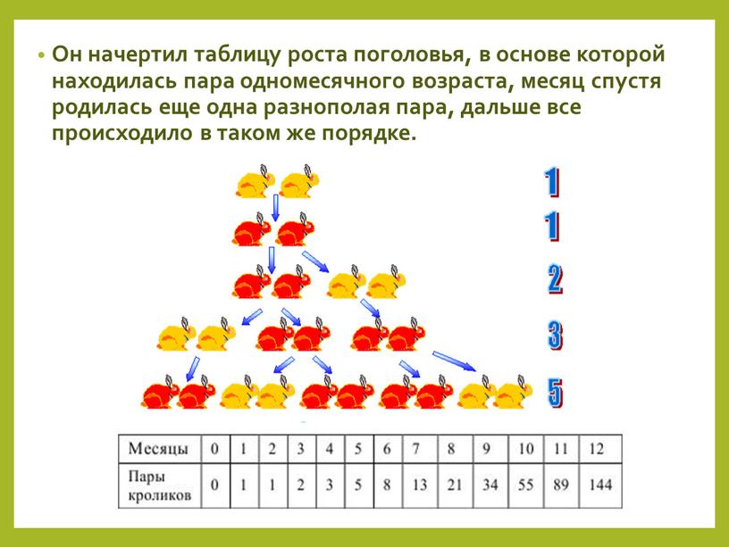 Он начертил таблицу роста поголовья, в основе которой находилась пара одномесячного возраста, месяц спустя родилась еще одна разнополая пара, дальше все происходило в таком же…