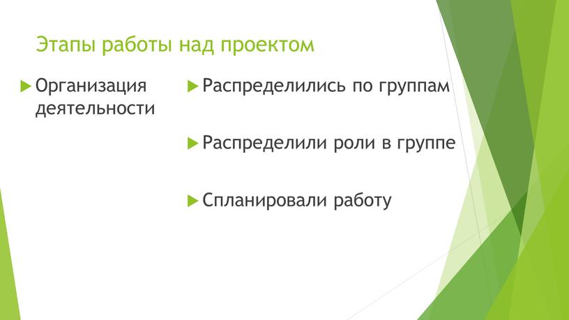 Этапы работы над проектом Организация деятельности