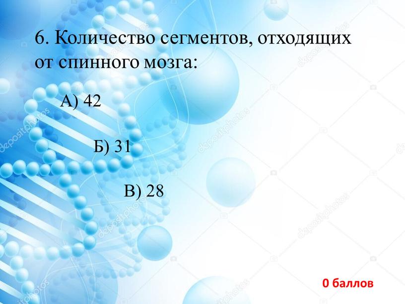 Количество сегментов, отходящих от спинного мозга: