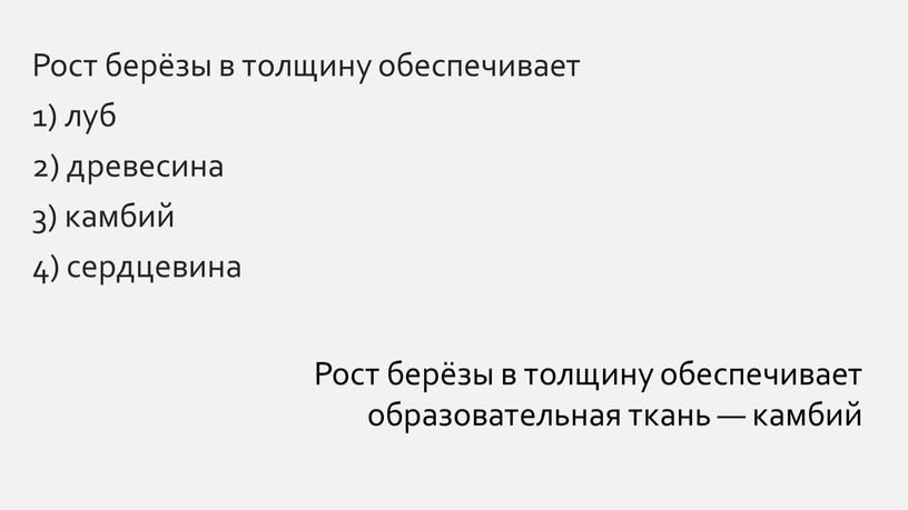 Рост берёзы в толщину обеспечивает 1) луб 2) древесина 3) камбий 4) сердцевина