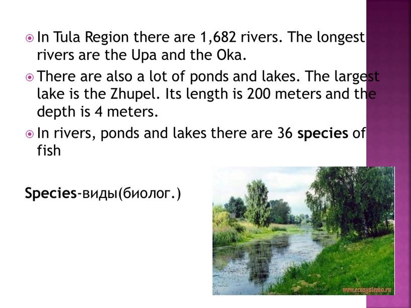 In Tula Region there are 1,682 rivers