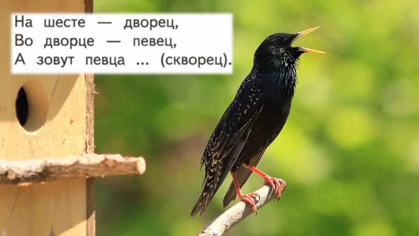 Презентация "Знакомство с буквой О"для подготовительной школы по предмету "От слова к букве"