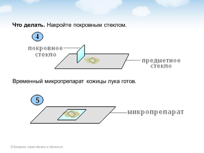 Что делать. Накройте покровным стеклом