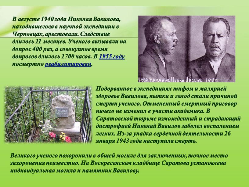В августе 1940 года Николая Вавилова, находившегося в научной экспедиции в