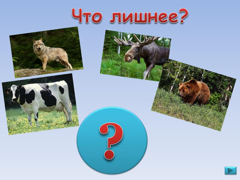 Что лишнее? ?