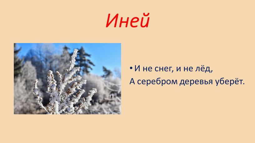 Иней И не снег, и не лёд, А серебром деревья уберёт