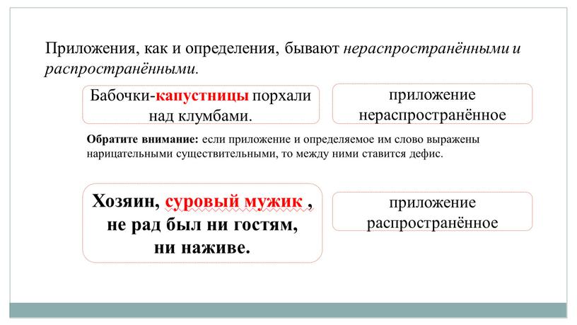 Приложения, как и определения, бывают нераспространёнными и распространёнными