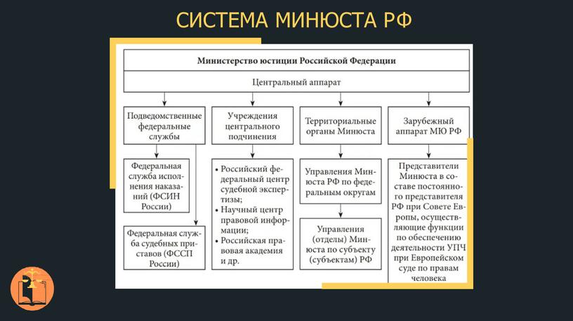 СИСТЕМА МИНЮСТА РФ