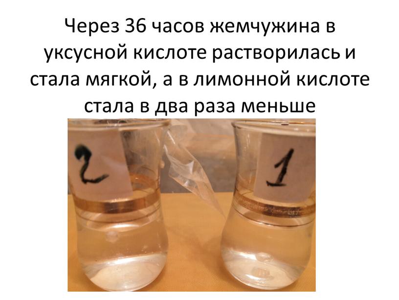 Через 36 часов жемчужина в уксусной кислоте растворилась и стала мягкой, а в лимонной кислоте стала в два раза меньше