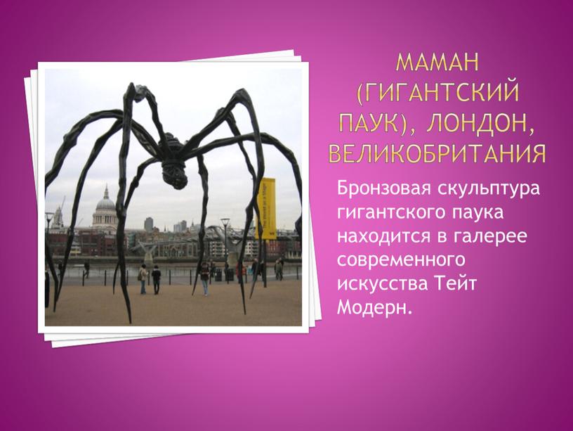 Маман (гигантский паук), Лондон,