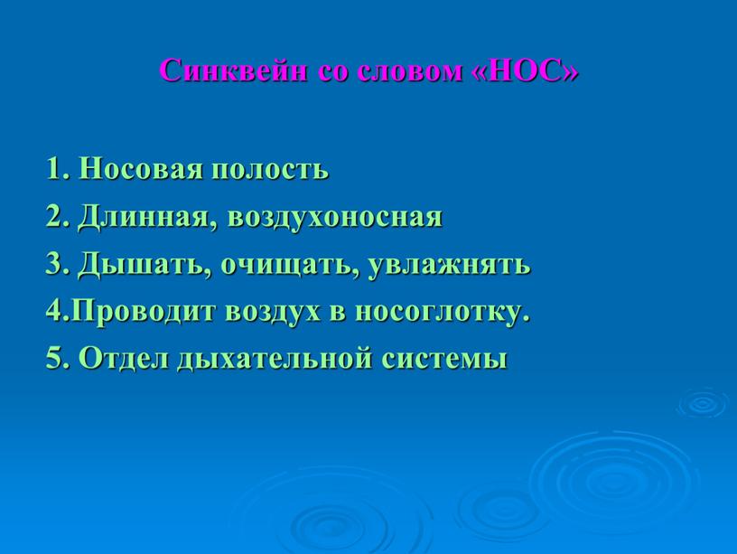 Синквейн со словом «НОС» 1. Носовая полость 2