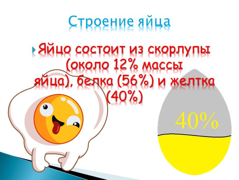 Яйцо состоит из скорлупы (около 12% массы яйца), белка (56%) и желтка (40%)