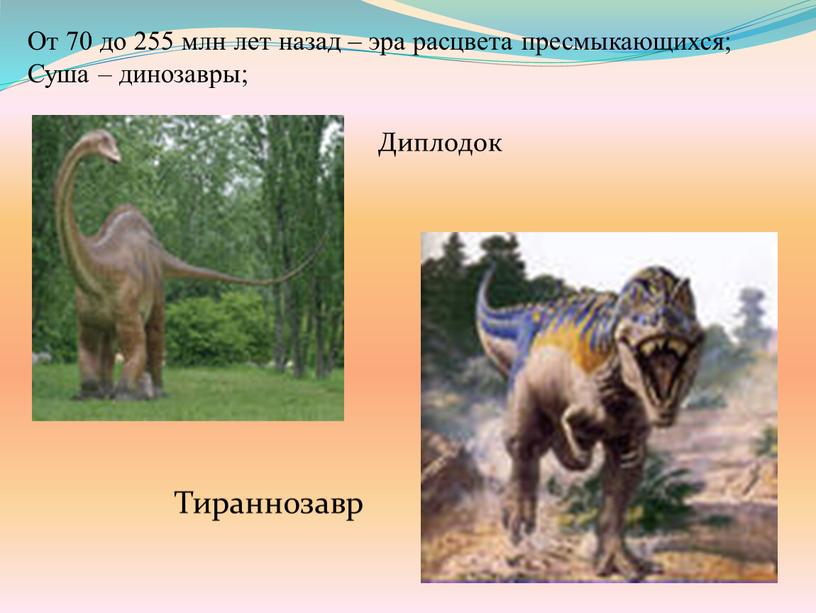 От 70 до 255 млн лет назад – эра расцвета пресмыкающихся;