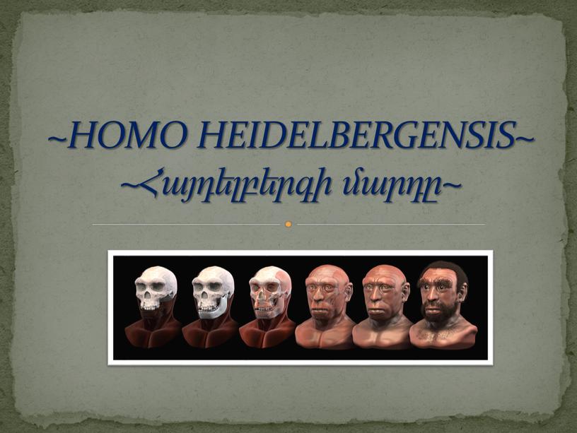 HOMO HEIDELBERGENSIS~ ~Հայդելբերգի մարդը~