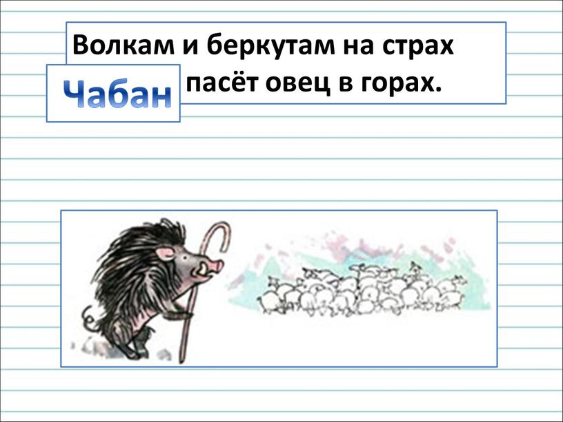 Волкам и беркутам на страх КАБАН пасёт овец в горах