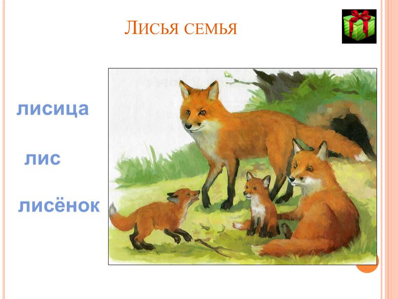 Лисья семья лисица лис лисёнок
