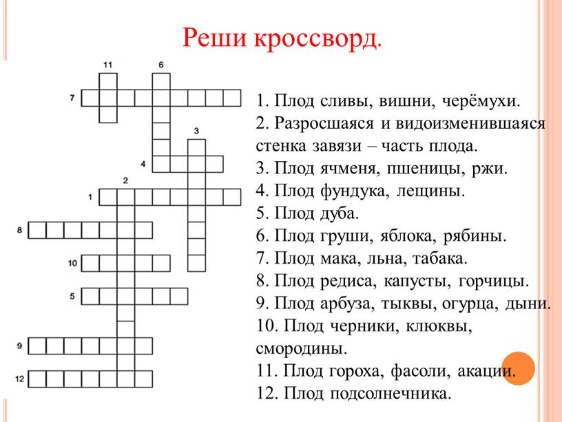 Реши кроссворд. 1. Плод сливы, вишни, черёмухи