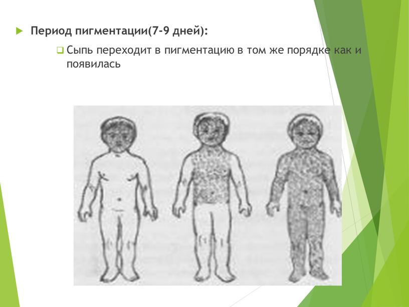 Период пигментации(7-9 дней): Сыпь переходит в пигментацию в том же порядке как и появилась