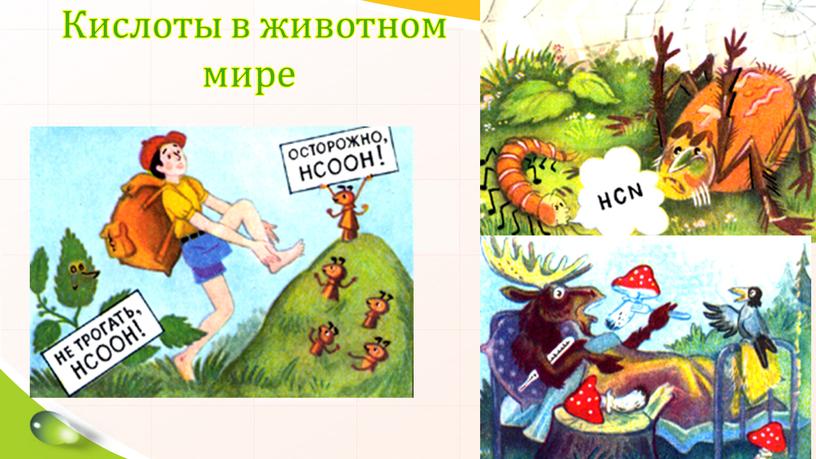 Кислоты в животном мире