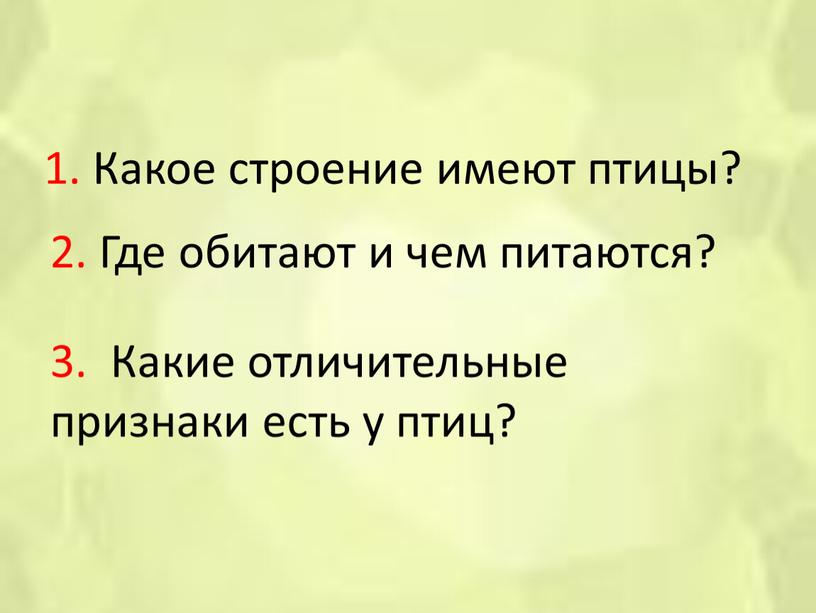 Какое строение имеют птицы? 2.