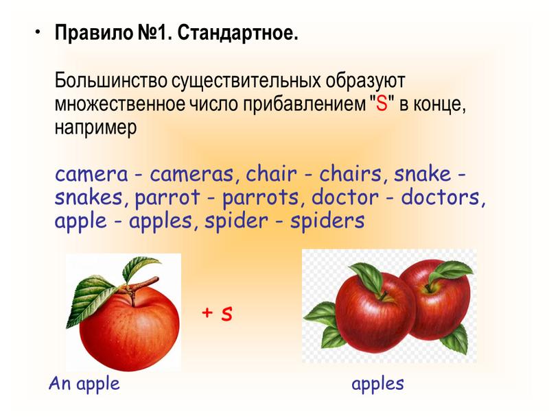 Правило №1. Стандартное. Большинство существительных образуют множественное число прибавлением "S" в конце, например camera - cameras, chair - chairs, snake - snakes, parrot - parrots,…