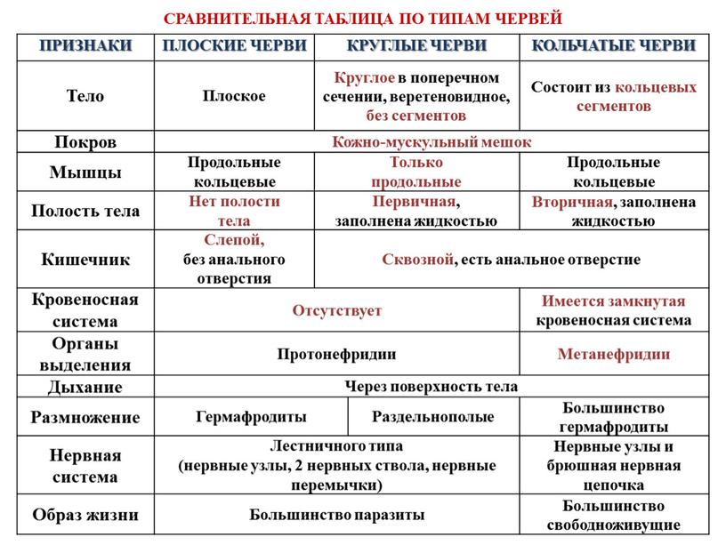 ПРИЗНАКИ ПЛОСКИЕ ЧЕРВИ КРУГЛЫЕ