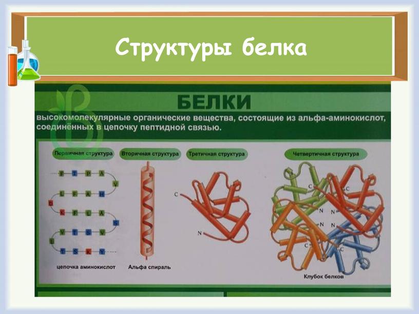 Структуры белка