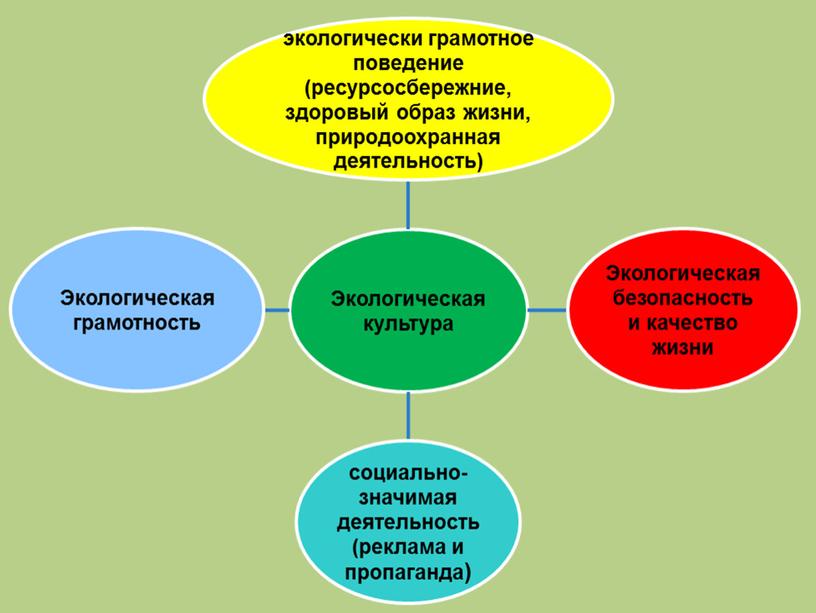 Практико-деятельностный компонент экологического воспитания обучающихся