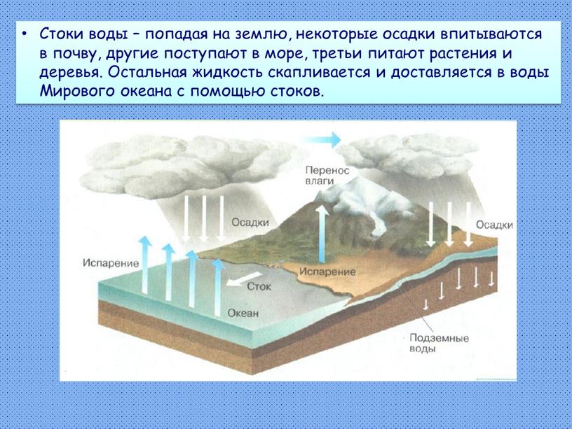 Стоки воды – попадая на землю, некоторые осадки впитываются в почву, другие поступают в море, третьи питают растения и деревья