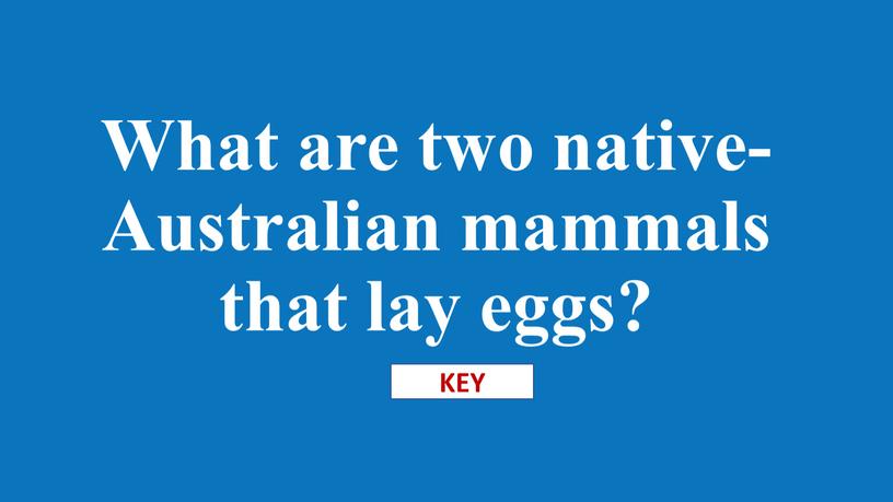 What are two native-Australian mammals that lay eggs?