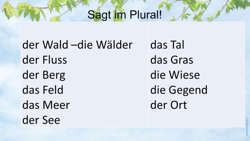 Sagt im Plural! der Wald –die