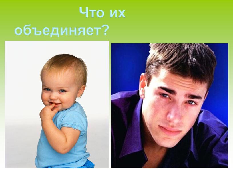 Что их объединяет?