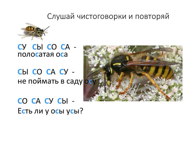 Слушай чистоговорки и повторяй